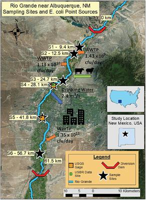 Riverbed Sediments Control the Spatiotemporal Variability of E. coli in a Highly Managed, Arid River
